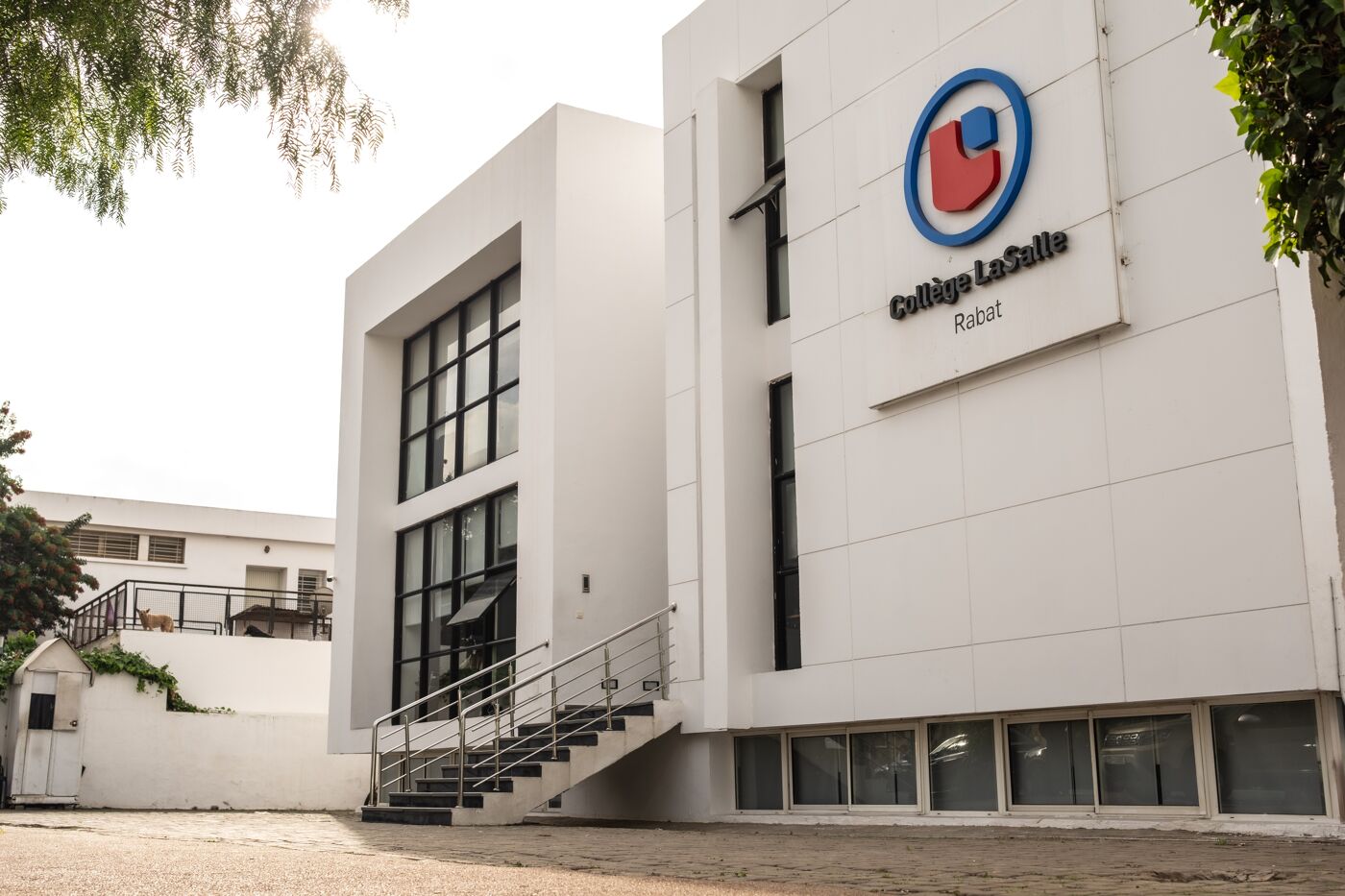 A contemporary educational building with a clean, white facade and large windows.