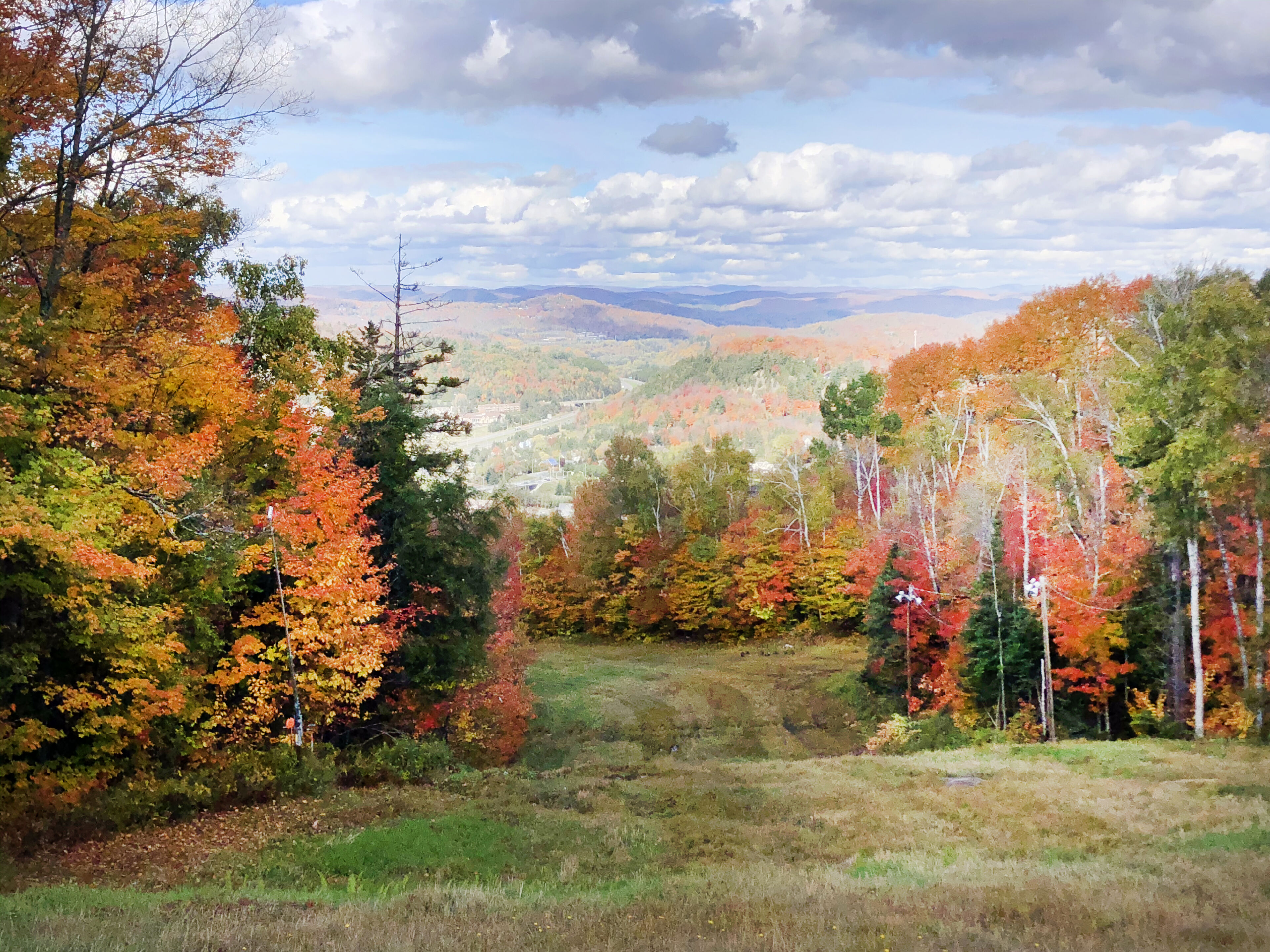 The warm hues of autumn leaves create a picturesque view over a serene landscape.