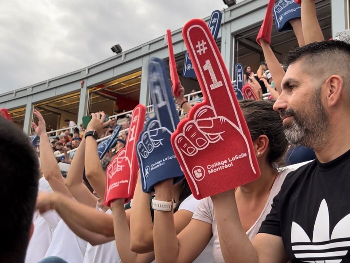 sae-alouettes-2.jpeg