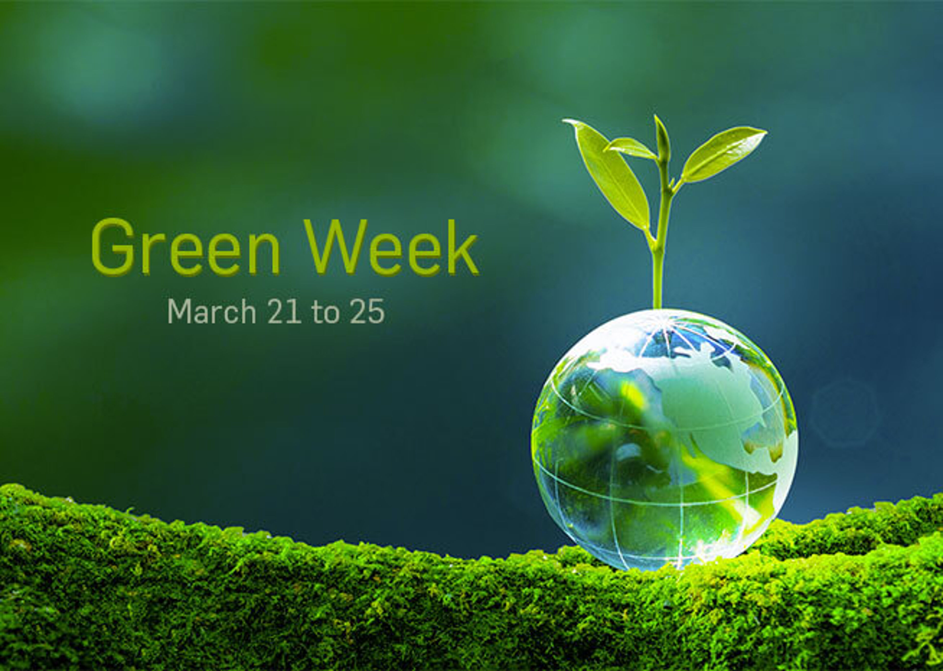 A young plant sprouts from a transparent globe on a mossy surface, symbolizing sustainability for Green Week, March 21 to 25.