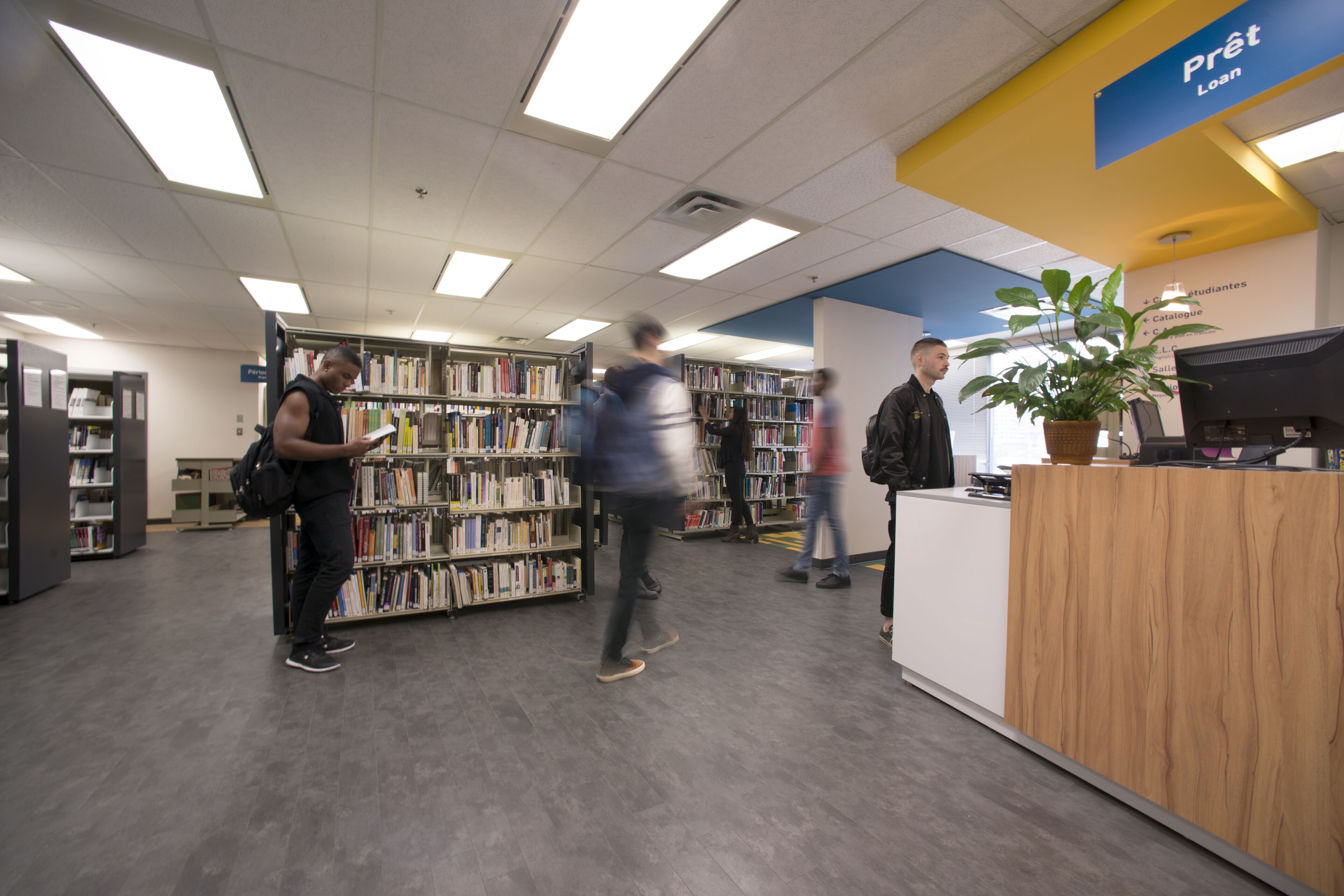 Students engage with books in a bustling college library, fostering a community of learning.