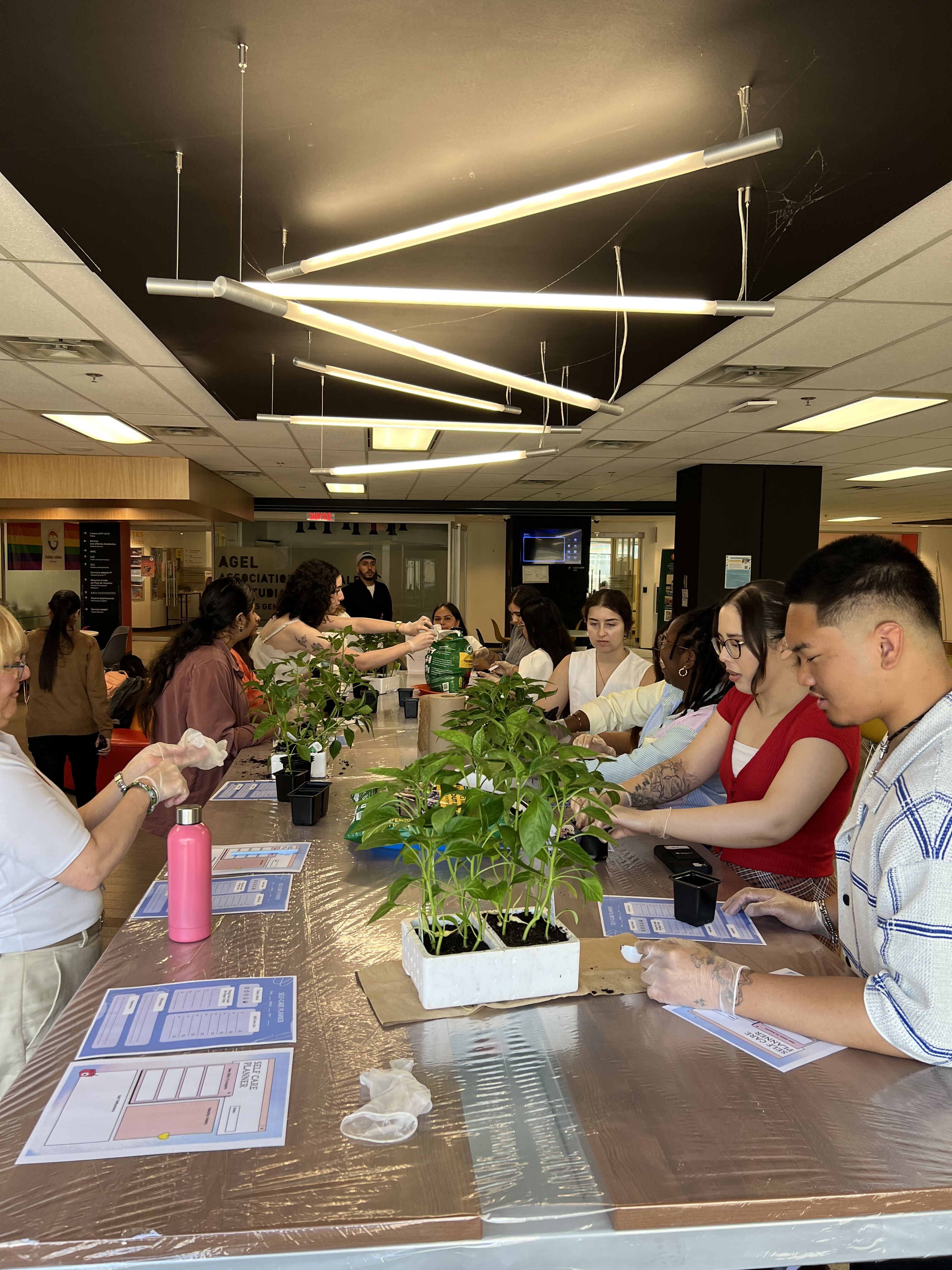 A group of people are gathered around a long table, potting small plants, in what appears to be a community center or school.