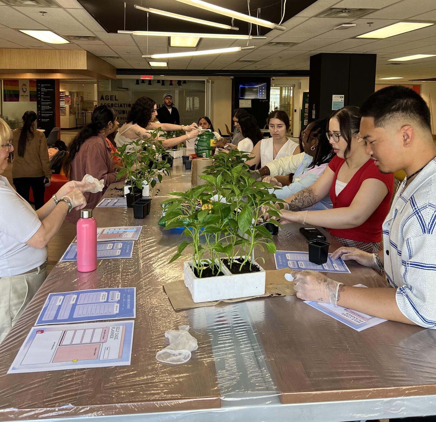 A group of people are gathered around a long table, potting small plants, in what appears to be a community center or school.