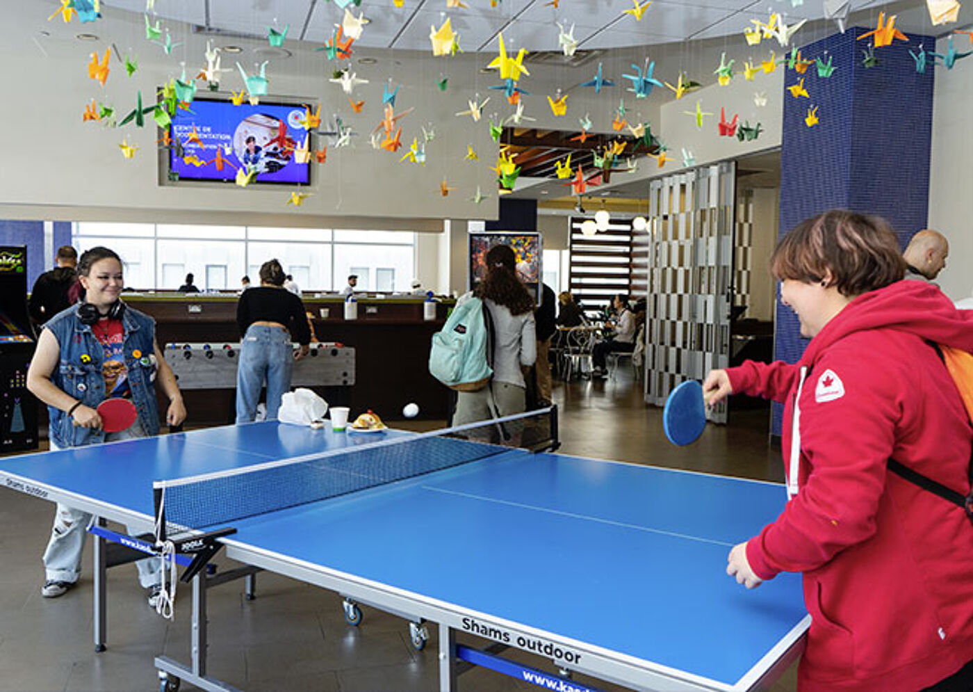 Casual Ping Pong Game