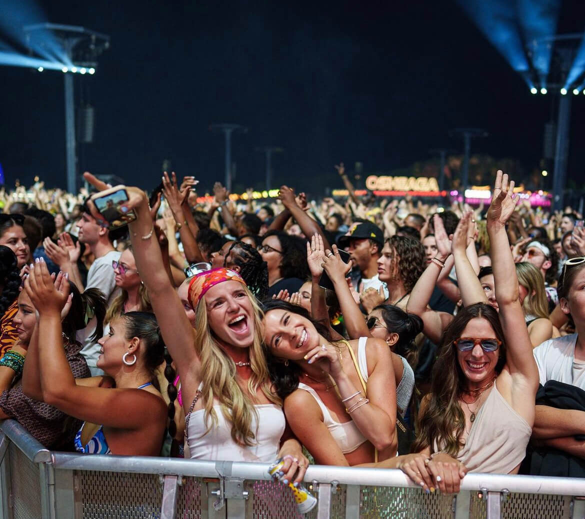 Concert Crowds Celebrating