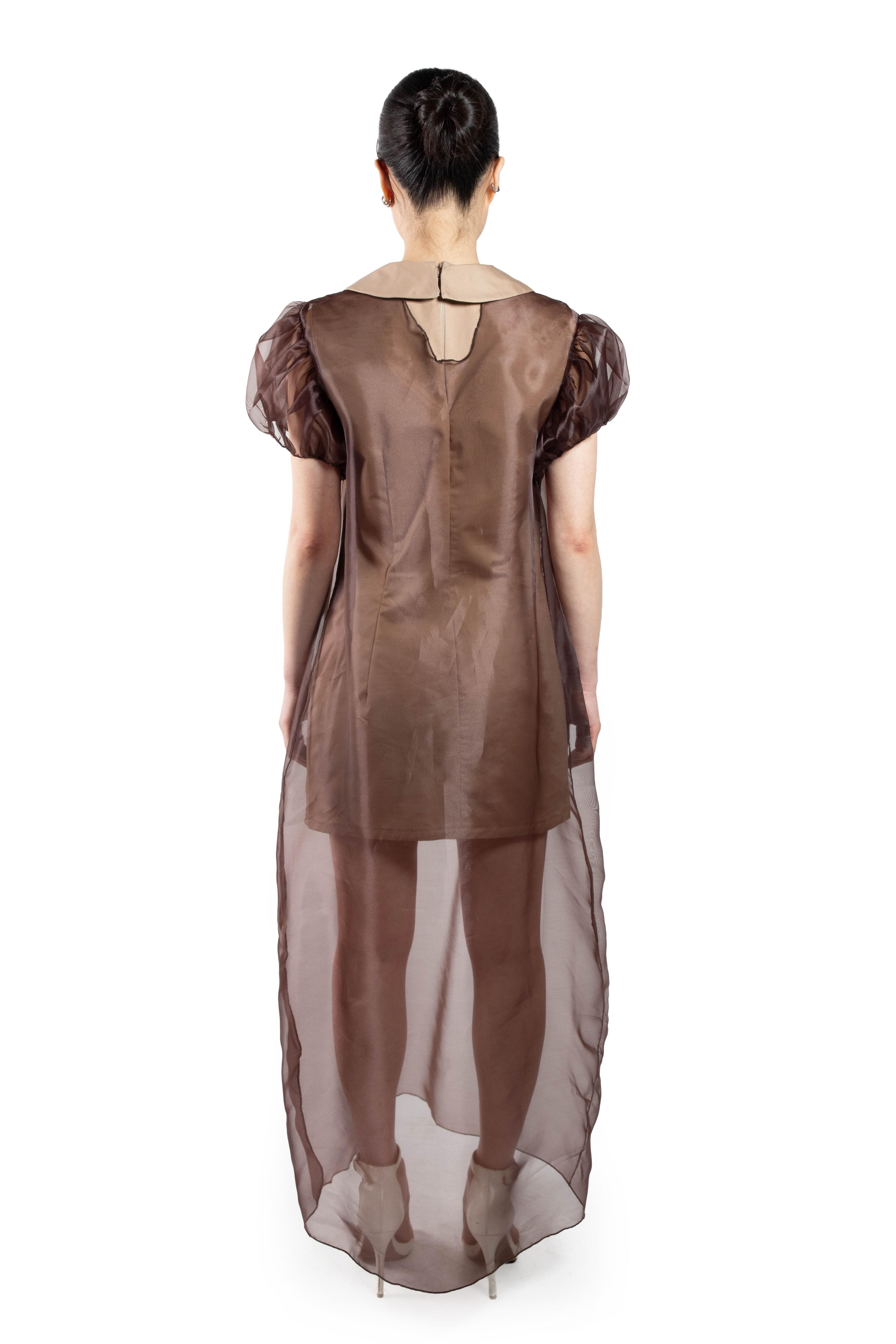 This is an image of the back of a model wearing a long, sheer brown dress with puffed sleeves and a light-colored collar. The dress has a flowing silhouette and extends to the floor.