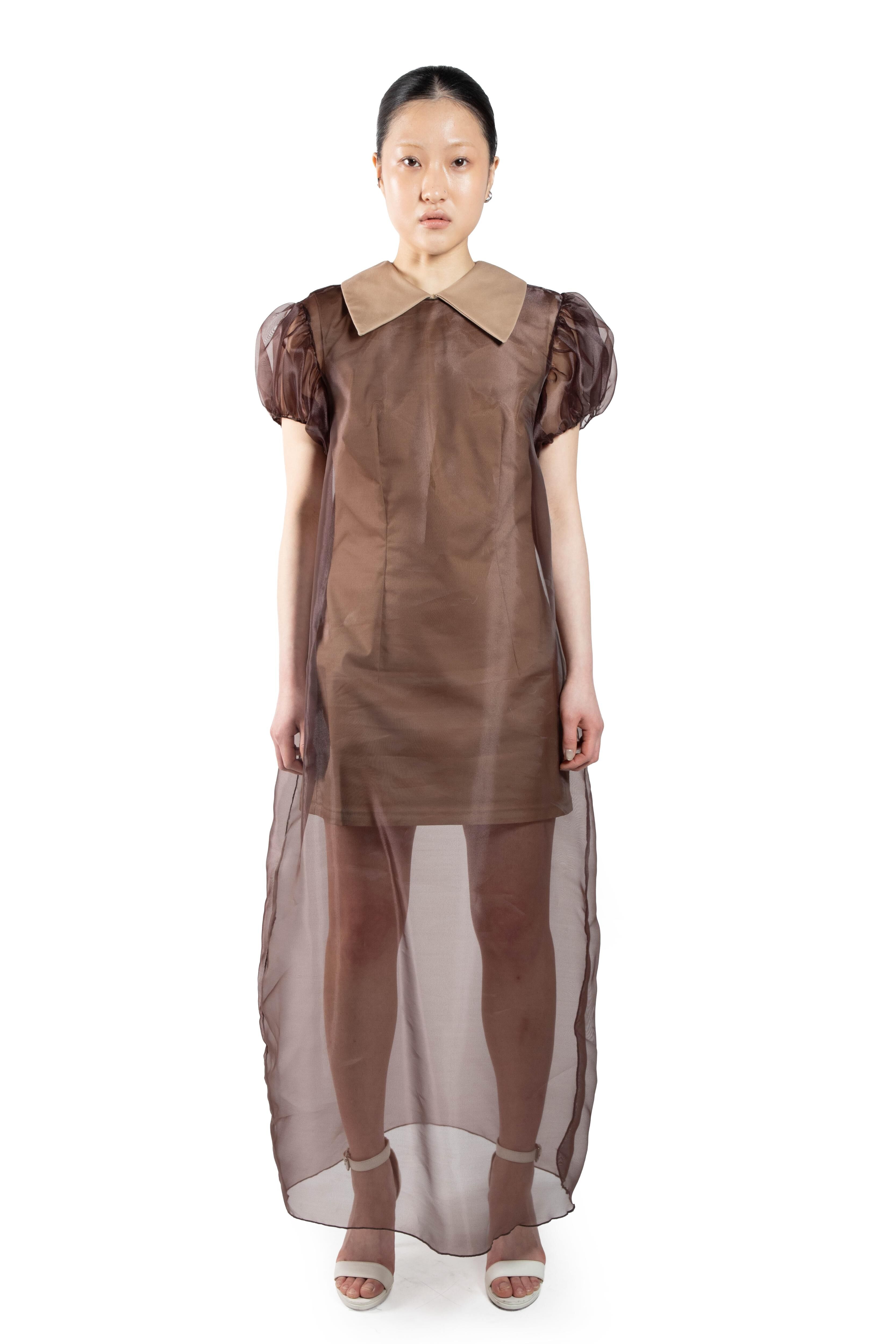 This is an image of a woman wearing a long, sheer brown dress with puff sleeves and a light-colored collar. She is wearing high-heeled sandals.