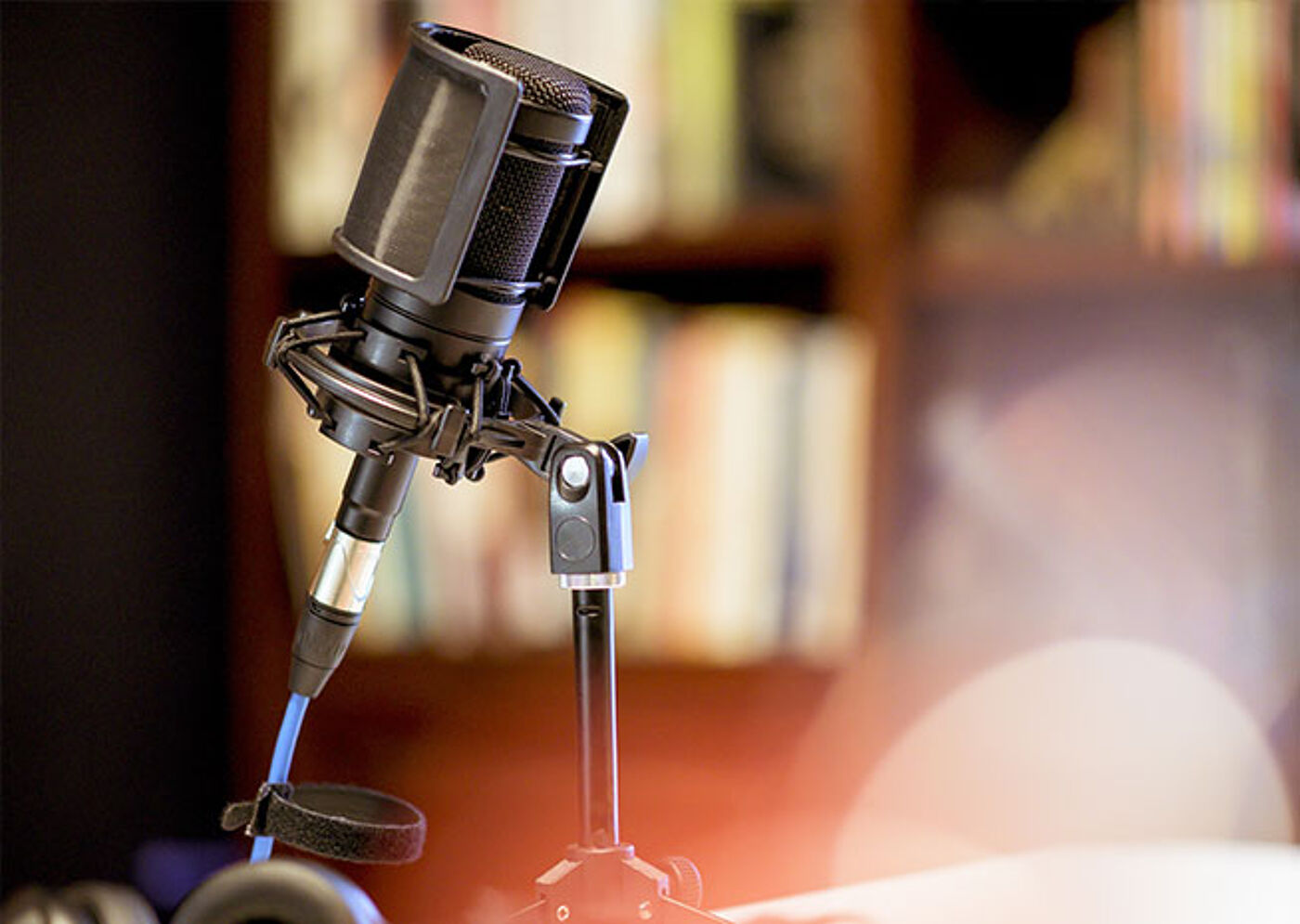 Microphone de studio professionnel