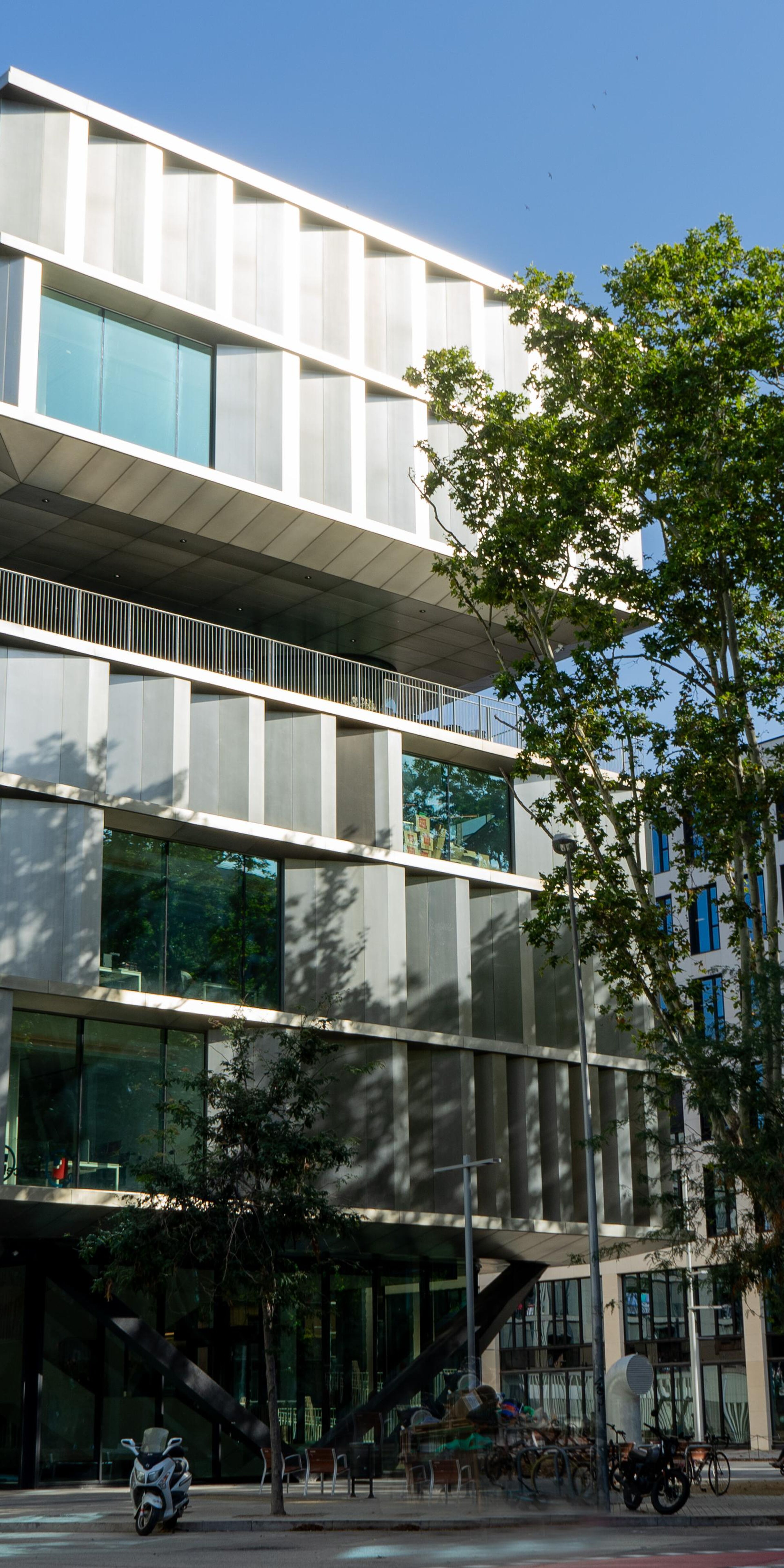 Modern Office Building with Tree-Lined Street