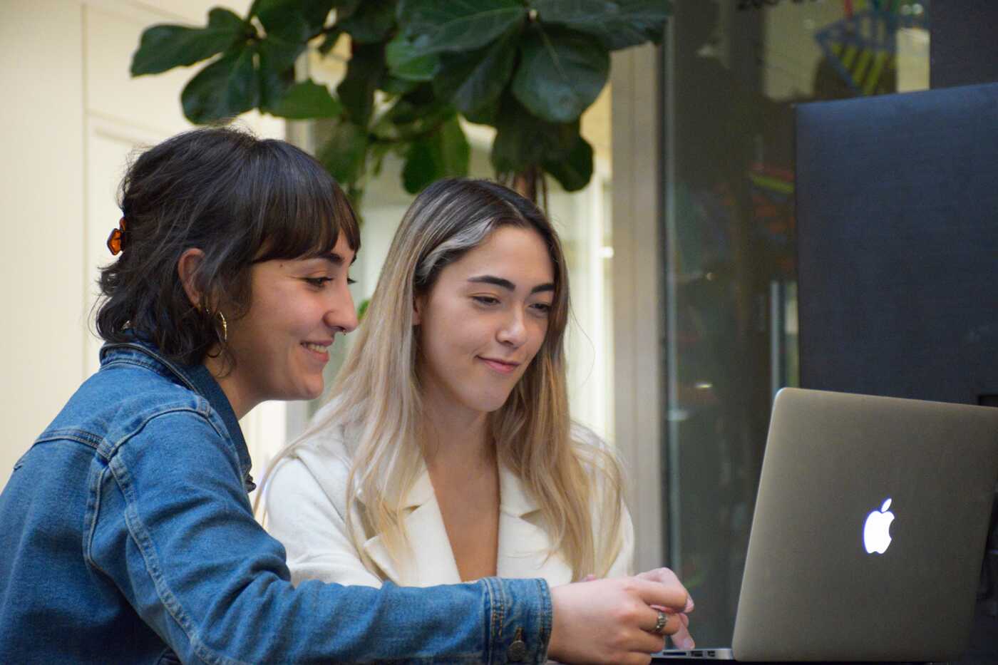  Two Women Collaborating on a Laptop