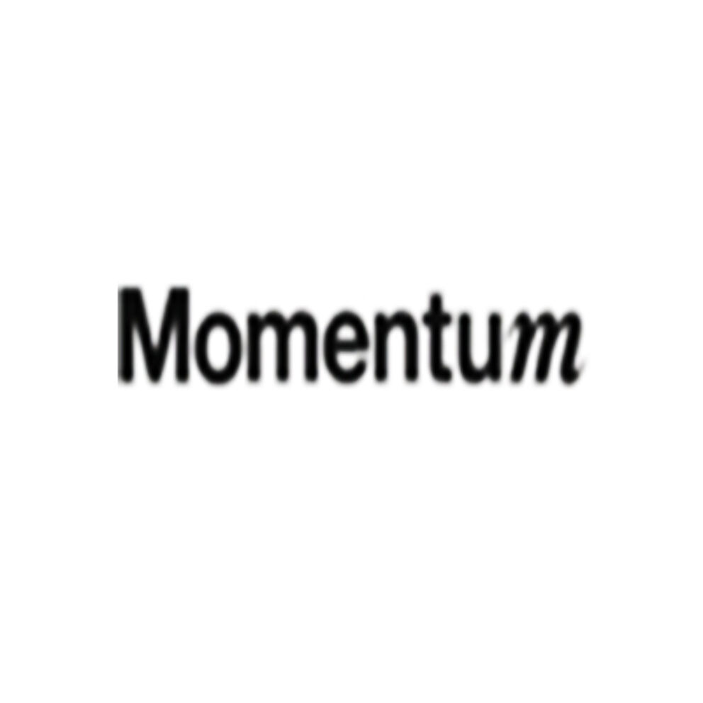 A minimalistic black text logo on a white background, displaying the word "Momentum" in a modern sans-serif typeface.
