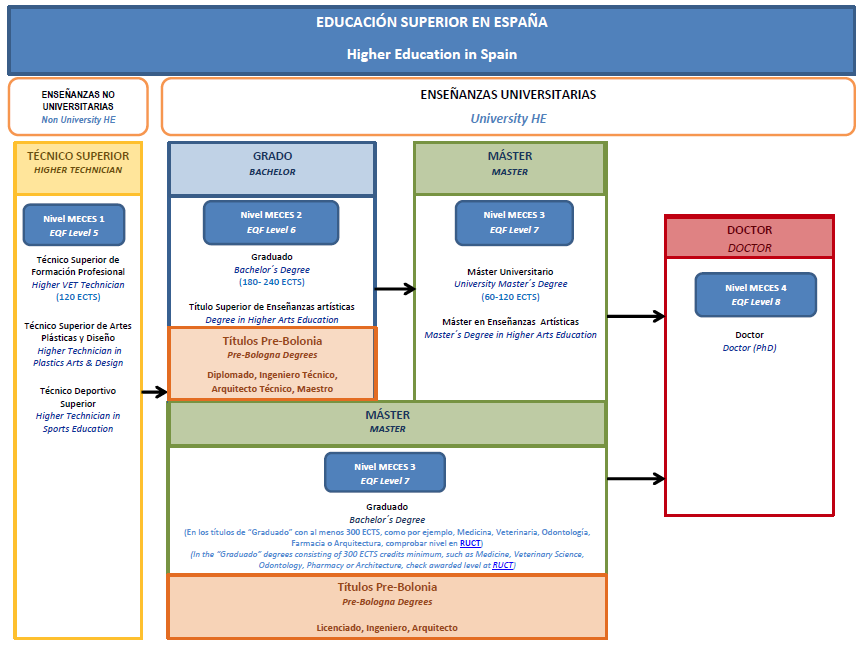 A flowchart presenting the Spanish higher education system, delineating non-university and university levels including "Técnico Superior", "Grado", "Master", and "Doctor" degrees.
