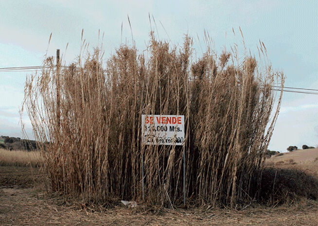 Un cartel de venta entre altas hierbas secas en un paisaje rural, indicando una propiedad de 3.000 metros cuadrados en oferta.