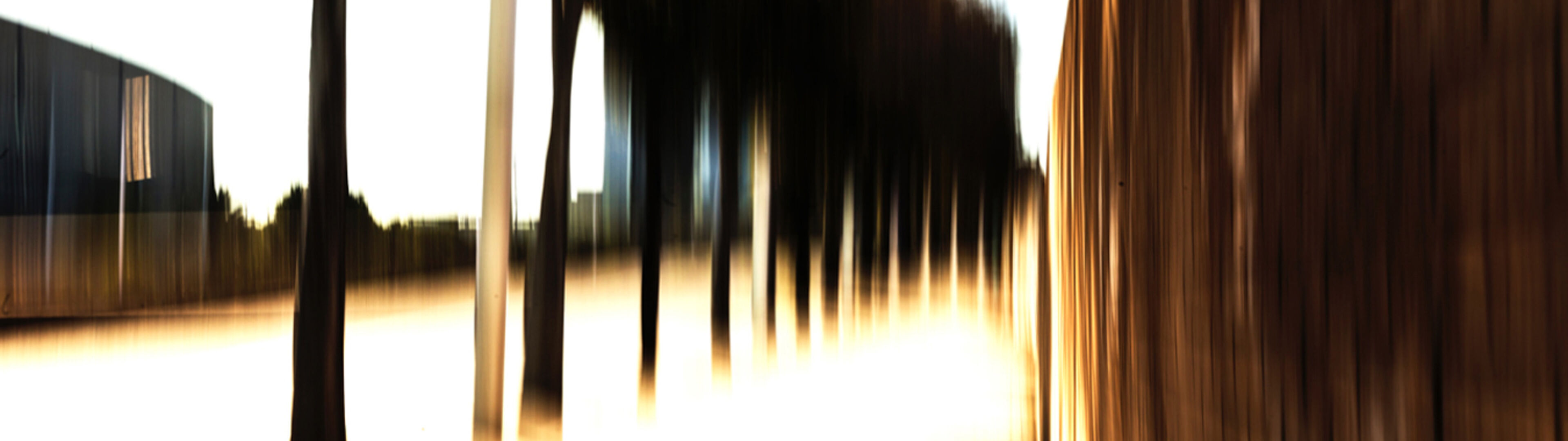 Imatge amb desenfocament de moviment que crea una impressió abstracta d'arbres i llum al llarg d'un camí.