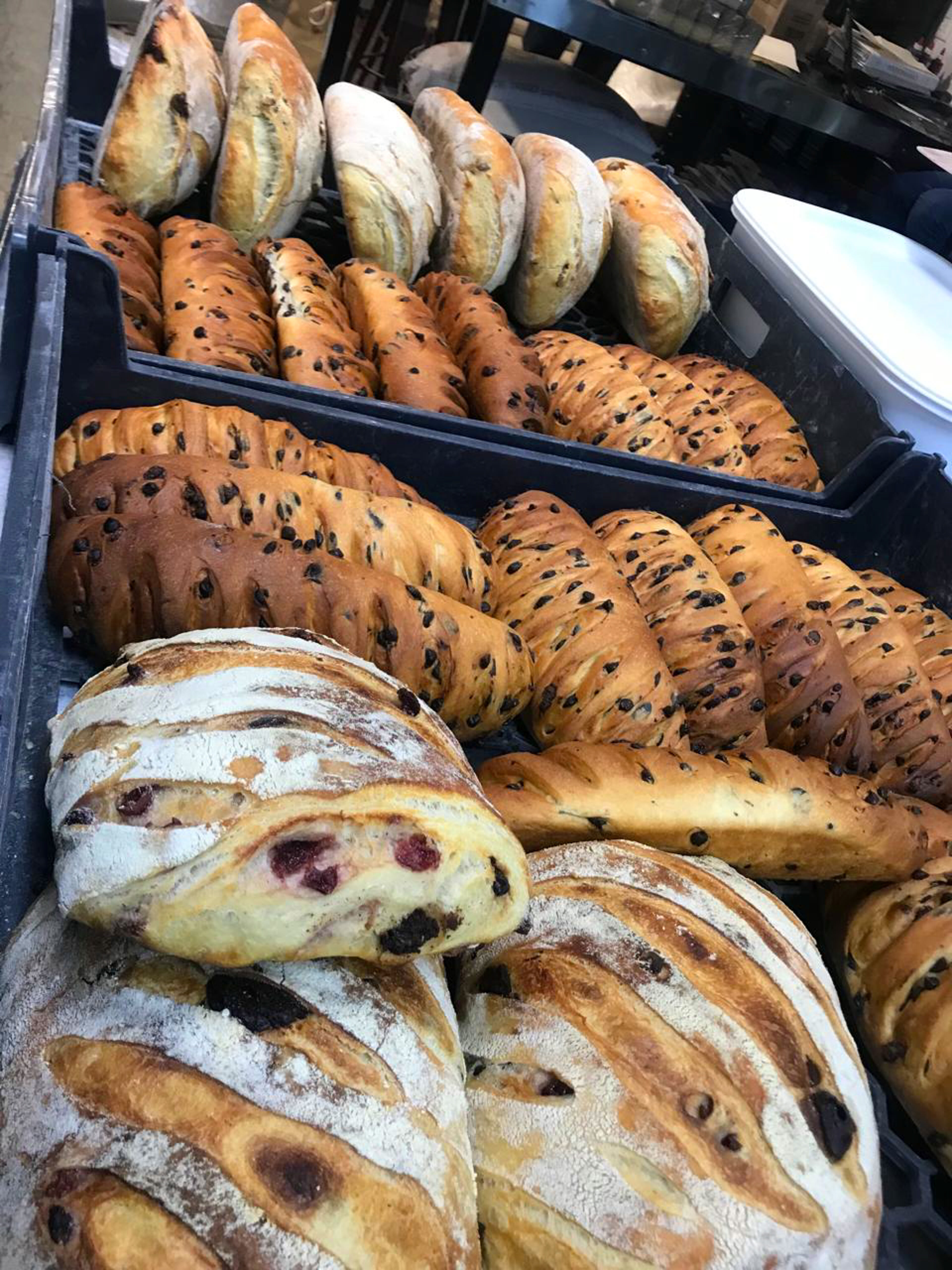 Diversos tipos de pan, incluyendo panes lisos, con semillas y con frutas, mostrados en una panadería.

