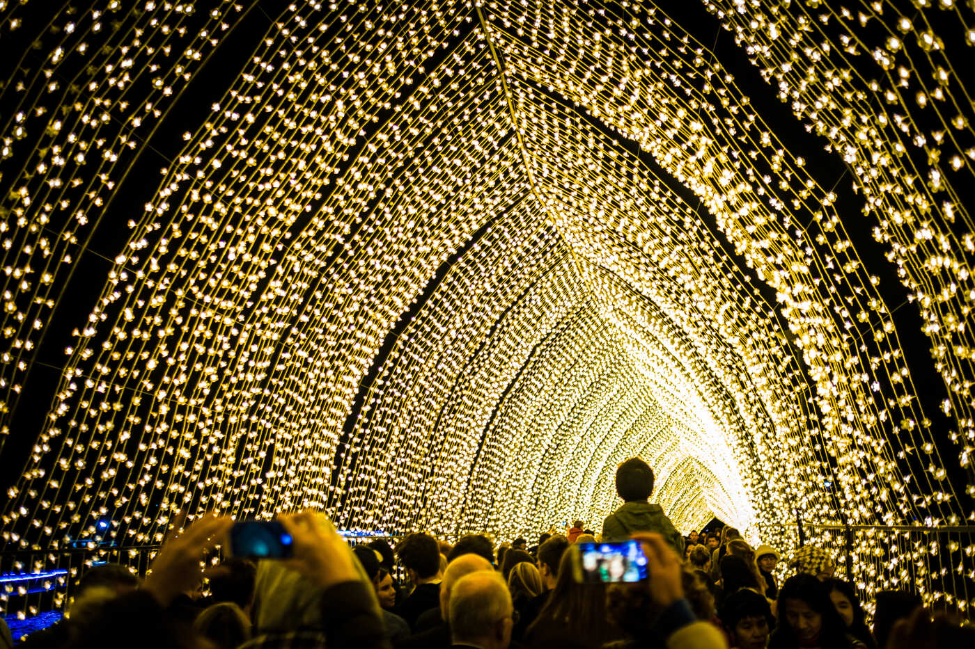 Crown under an arch of lights at Vivid Festival