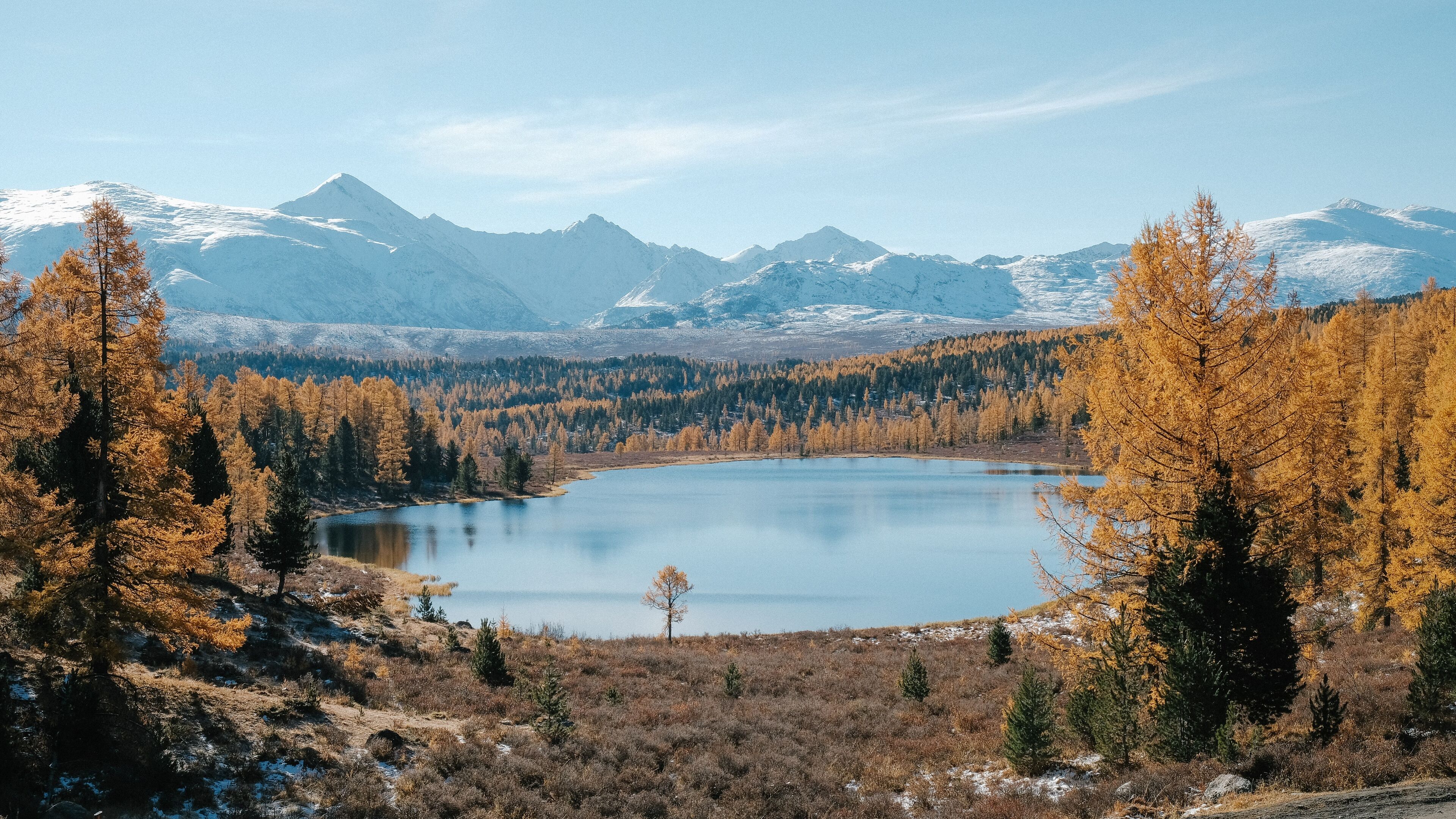 A serene mountain lake surrounded by autumn-colored larch trees with snow-capped peaks in the distance under a clear blue sky.