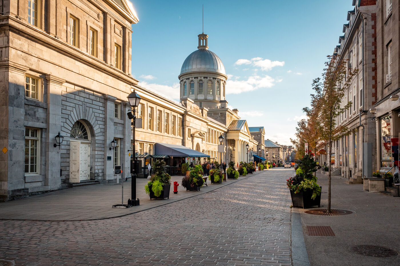 The image features a city street with a brick road, a sidewalk, and a large building in the background. The street is lined with potted plants, and there are several people walking along the sidewalk. The scene is set during the day, with the sun shining brightly.