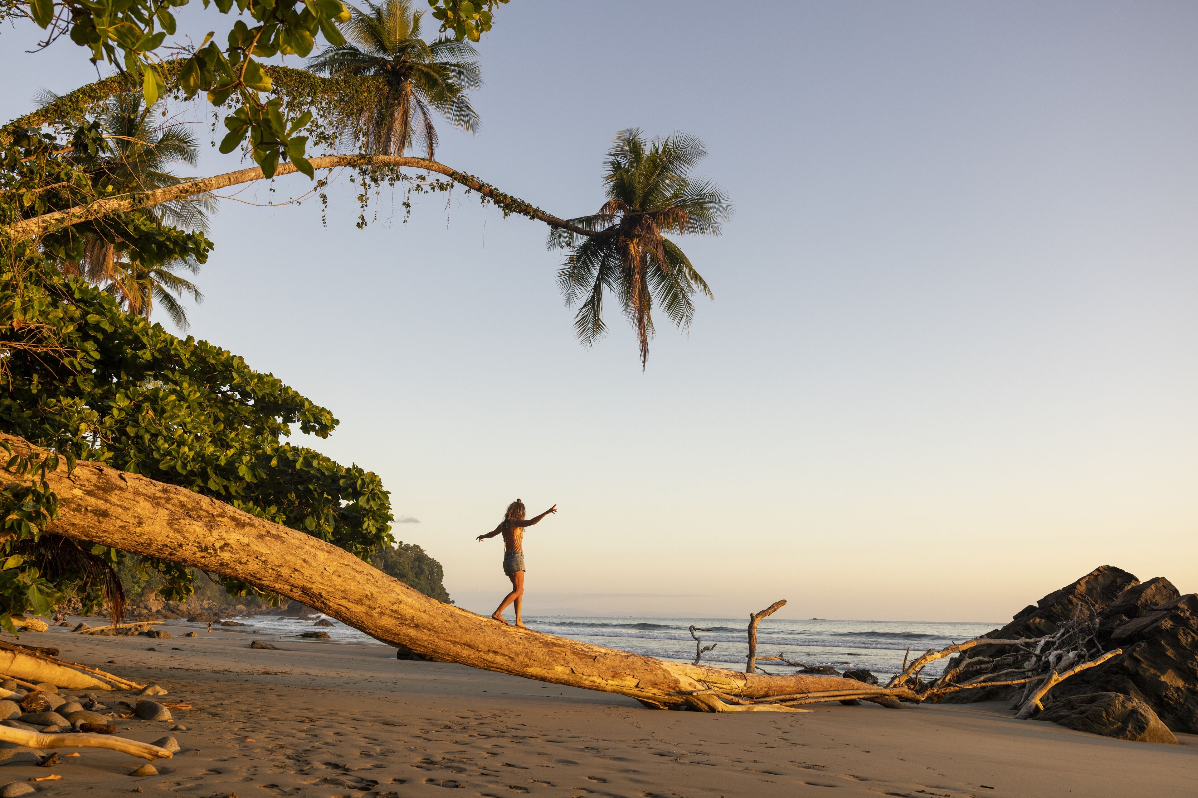 Una mujer en equilibrio sobre un tronco bajo una palmera mientras contempla la puesta de sol desde una playa de Costa Rica.
