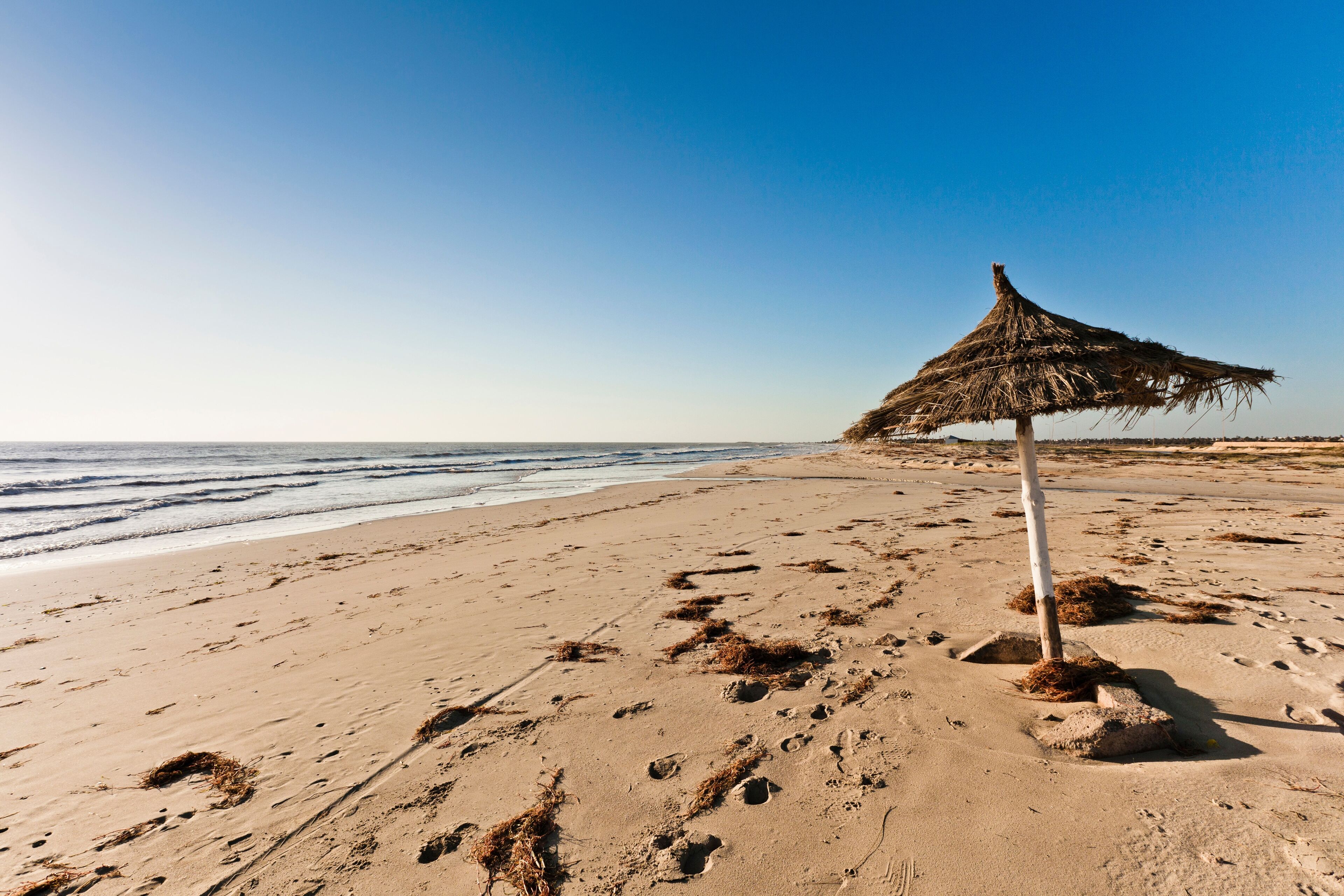 A lone thatched umbrella stands on a sandy beach with gentle waves, clear skies, and no people in sight.
