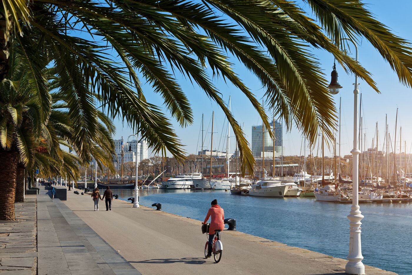 Promenade de la Marina avec Palmiers