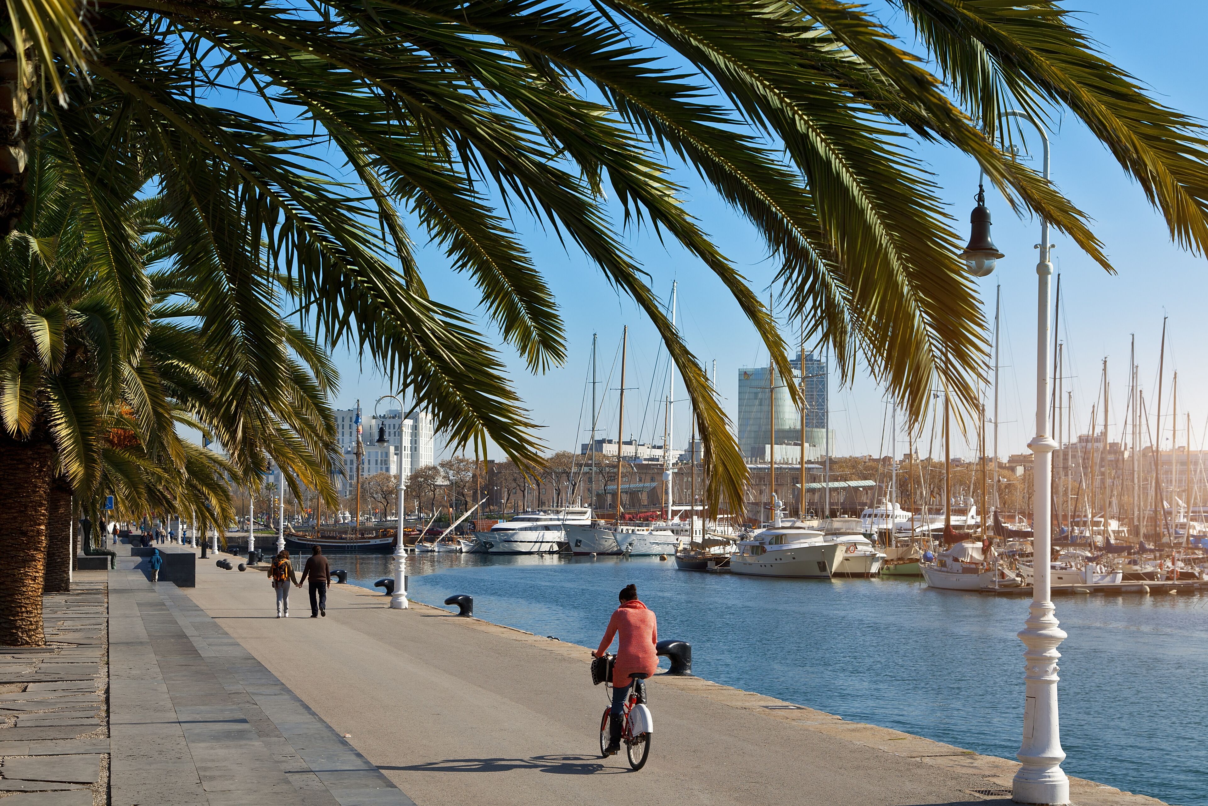 Un ciclista y peatones disfrutan de un día soleado en un paseo marítimo adornado con palmeras, con vistas a una marina llena de barcos y yates.