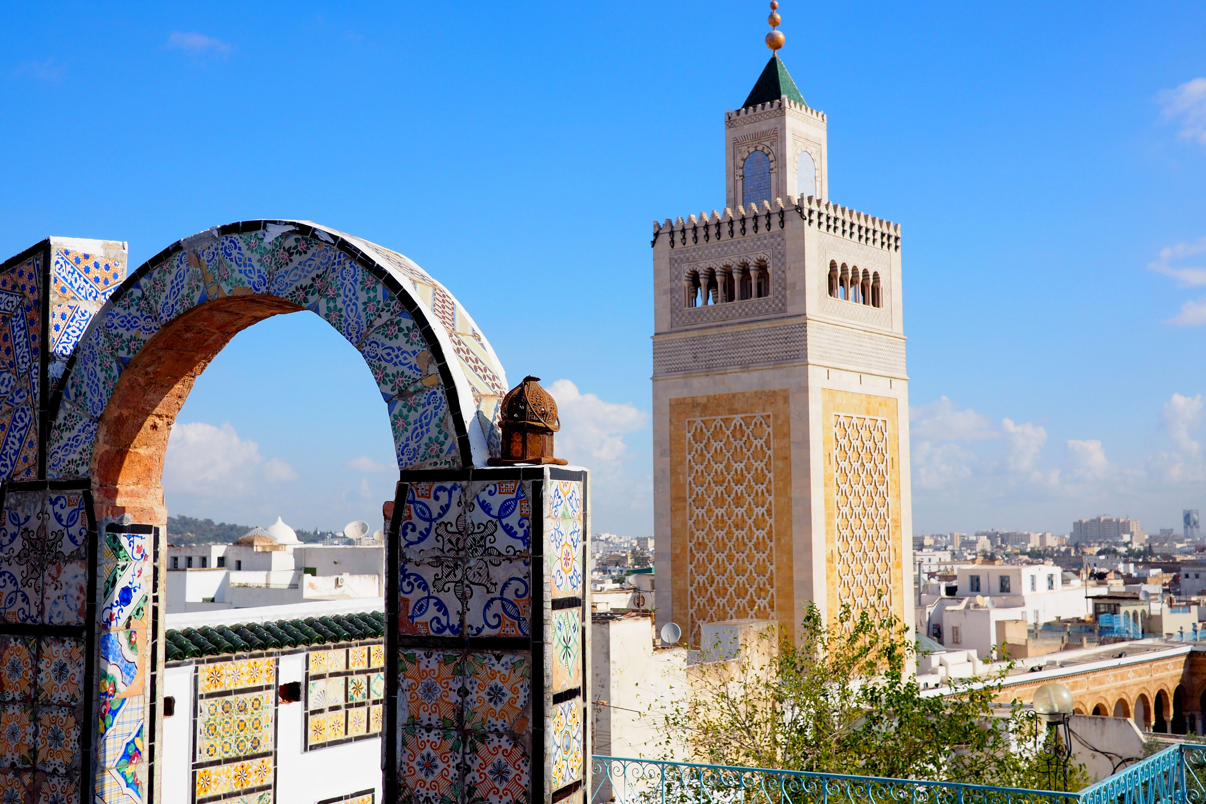 View over Tunis skyline with famous mosque