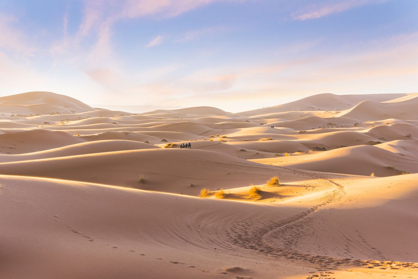 Some people doing a camel tour across the sand dunes in Erg Chebbi desert, Sahara, Morocco, Africa