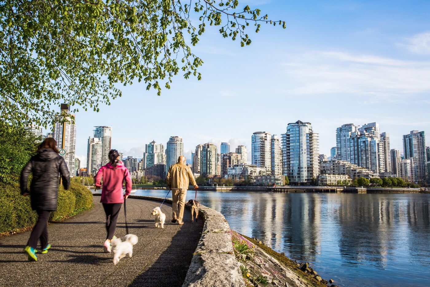 A group of people and their dogs stroll along a scenic waterfront path in Vancouver, Canada, with the city’s skyline reflected in the calm water. The bright, sunny day highlights the mix of urban architecture and natural beauty.