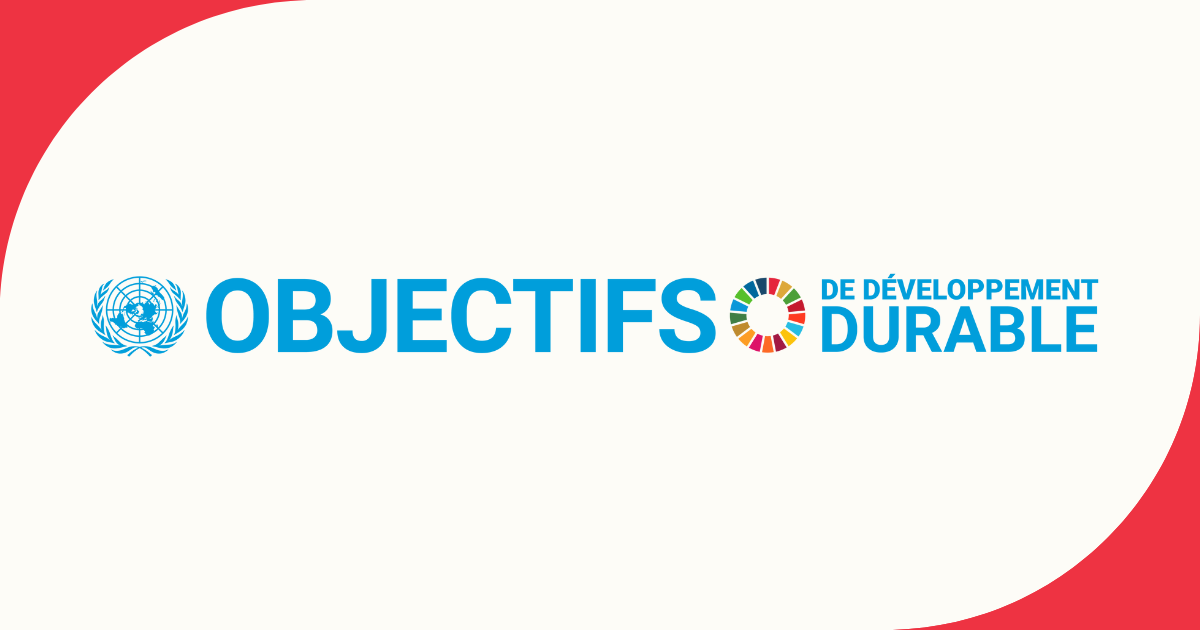 Une bannière promotionnelle avec le logo des Nations Unies et l'inscription "Objectifs de Développement Durable" pour représenter les SDG.