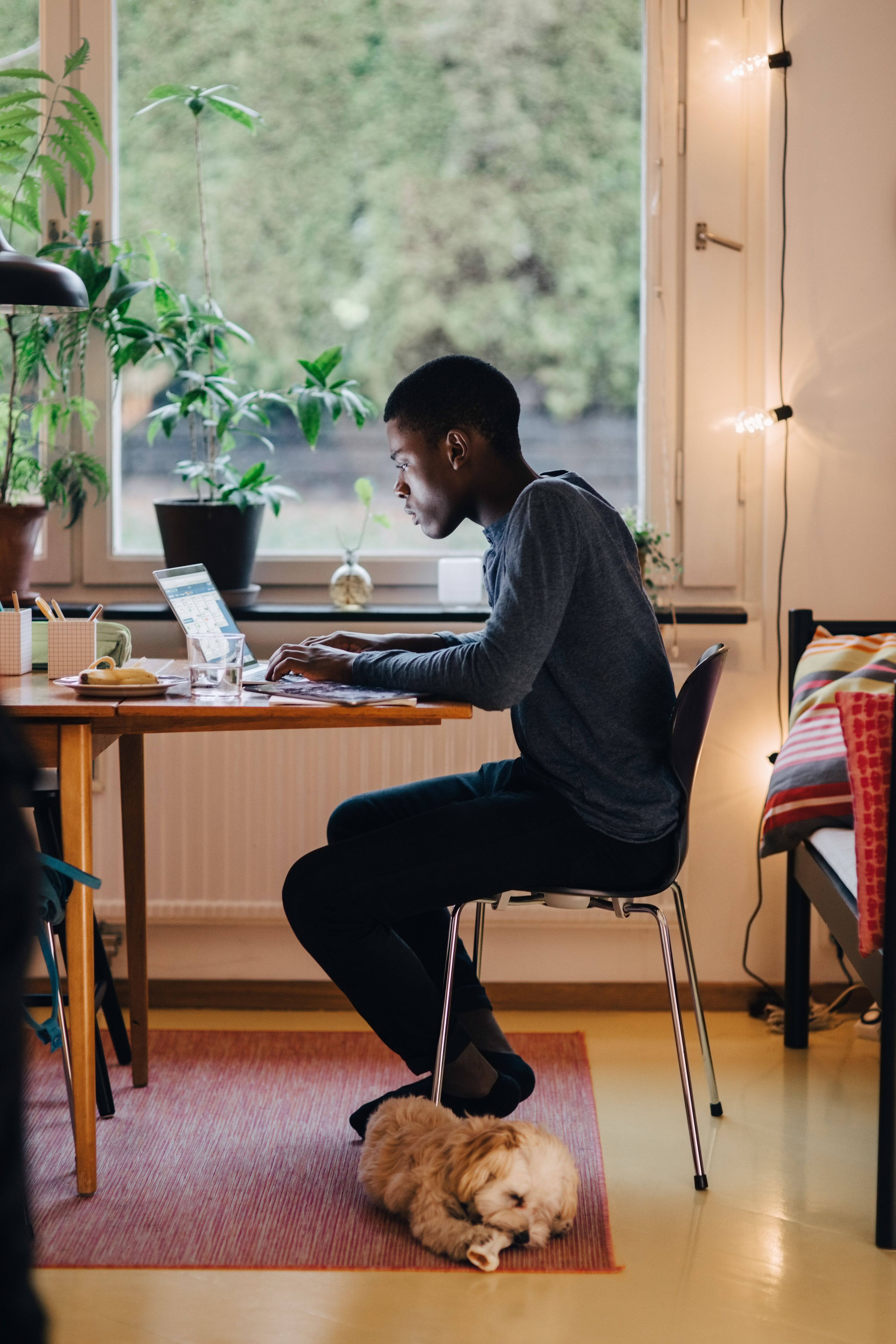 Side view of boy using laptop on table while sitting by dog against window at home