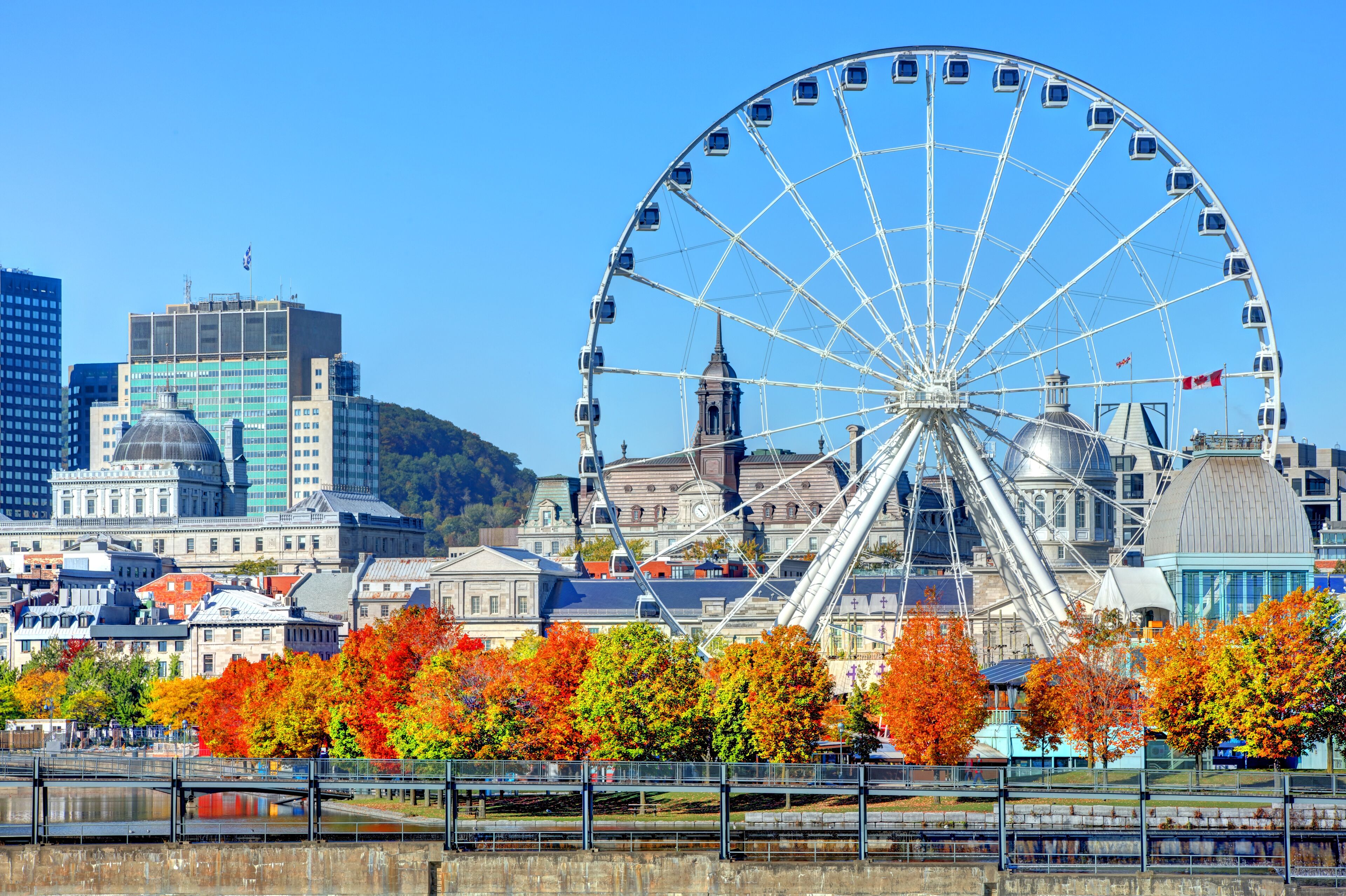 Les couleurs vives de l'automne encadrent la grande roue emblématique du Vieux-Port de Montréal, offrant une vue pittoresque devant l'architecture historique de la ville.