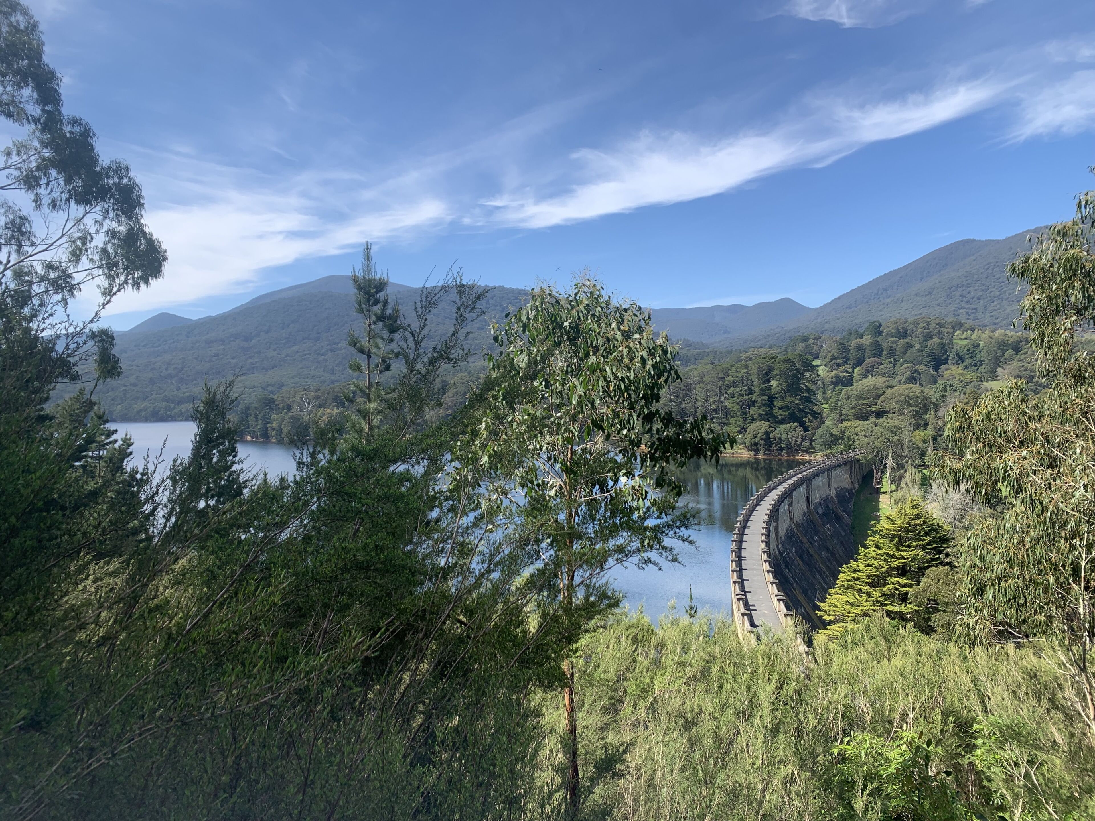 A lush vista overlooking a dam, where a forest meets calm waters, nestled in the mountain's shadow.