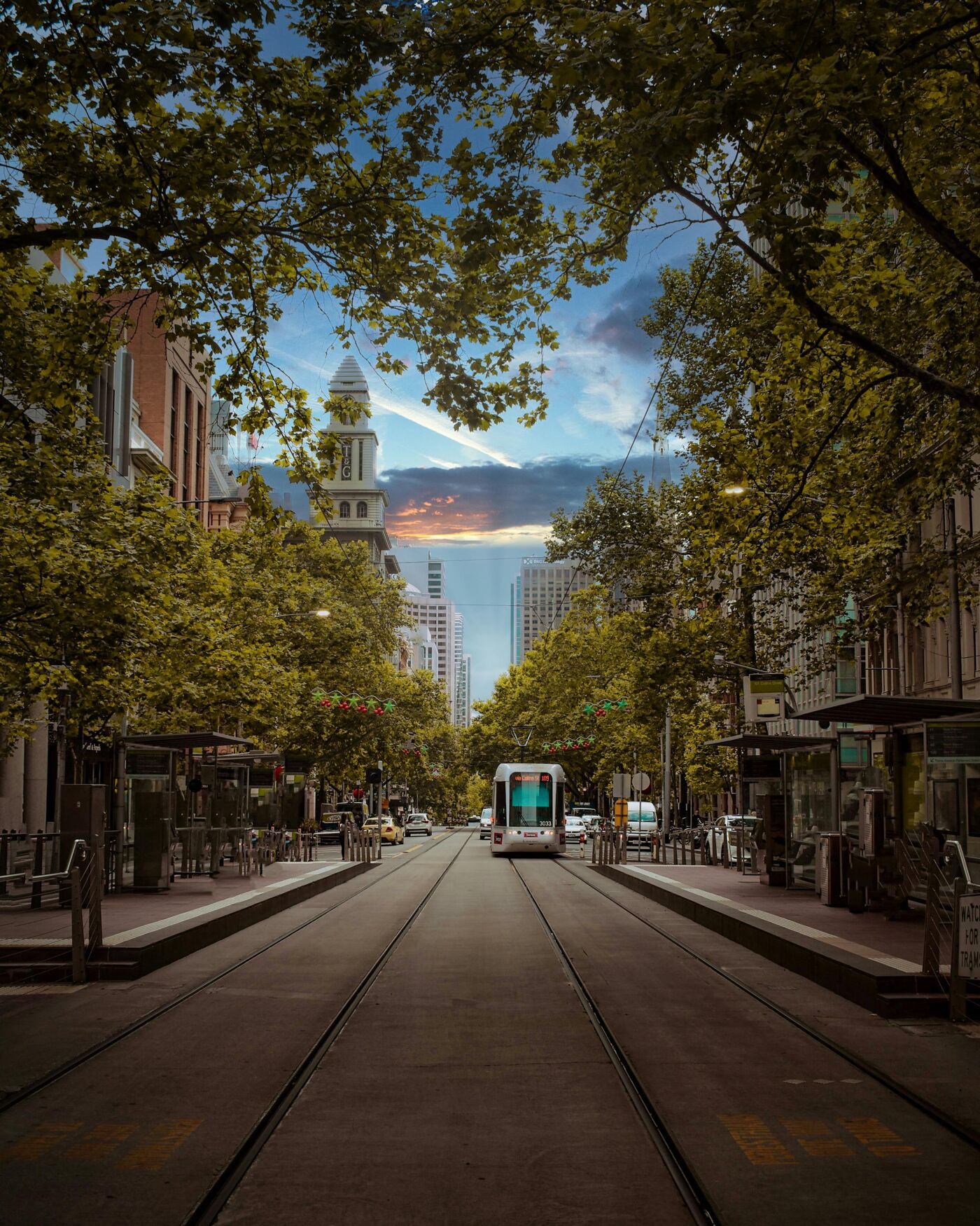 Tram on a Tree-Lined Urban Street