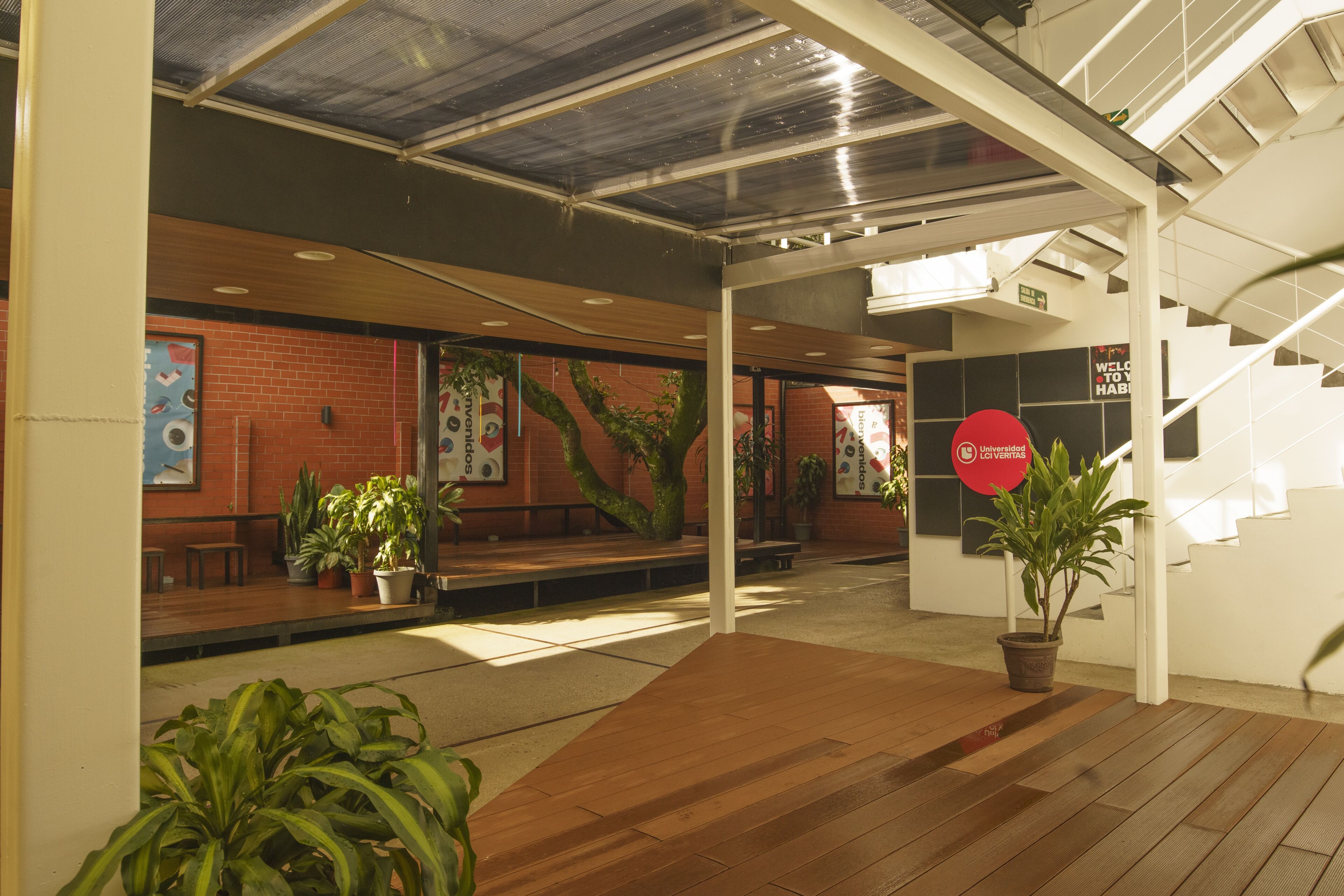 A serene courtyard within a university, featuring a clear roof, wooden benches, lush potted plants, and educational artwork.