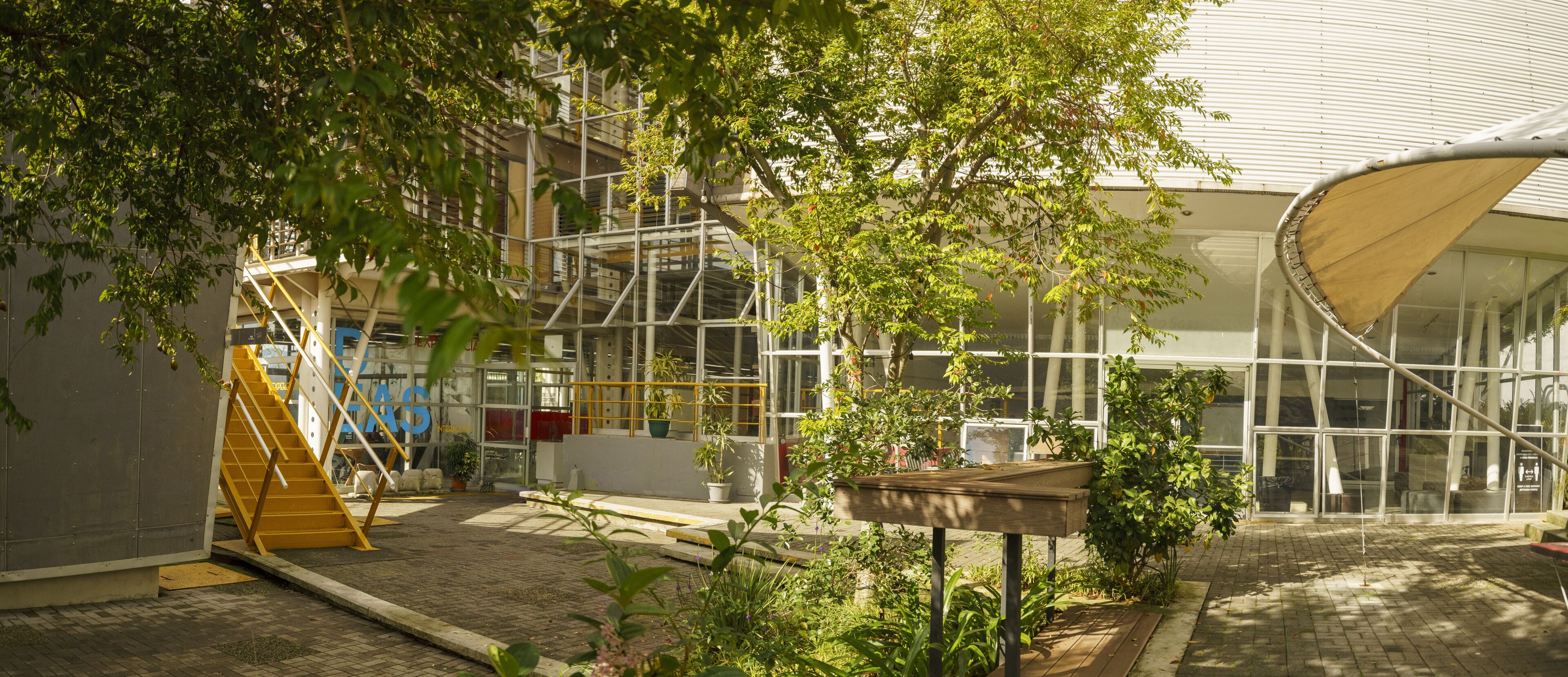 Un patio vibrante en un campus universitario, con una variedad de vegetación en medio de la arquitectura moderna. La zona está rodeada de edificios con paredes de vidrio, escaleras de metal y una escalera amarilla, reflejando la mezcla de naturaleza y modernidad. Los árboles y plantas añaden un toque refrescante, ofreciendo un ambiente sereno y ecológico.