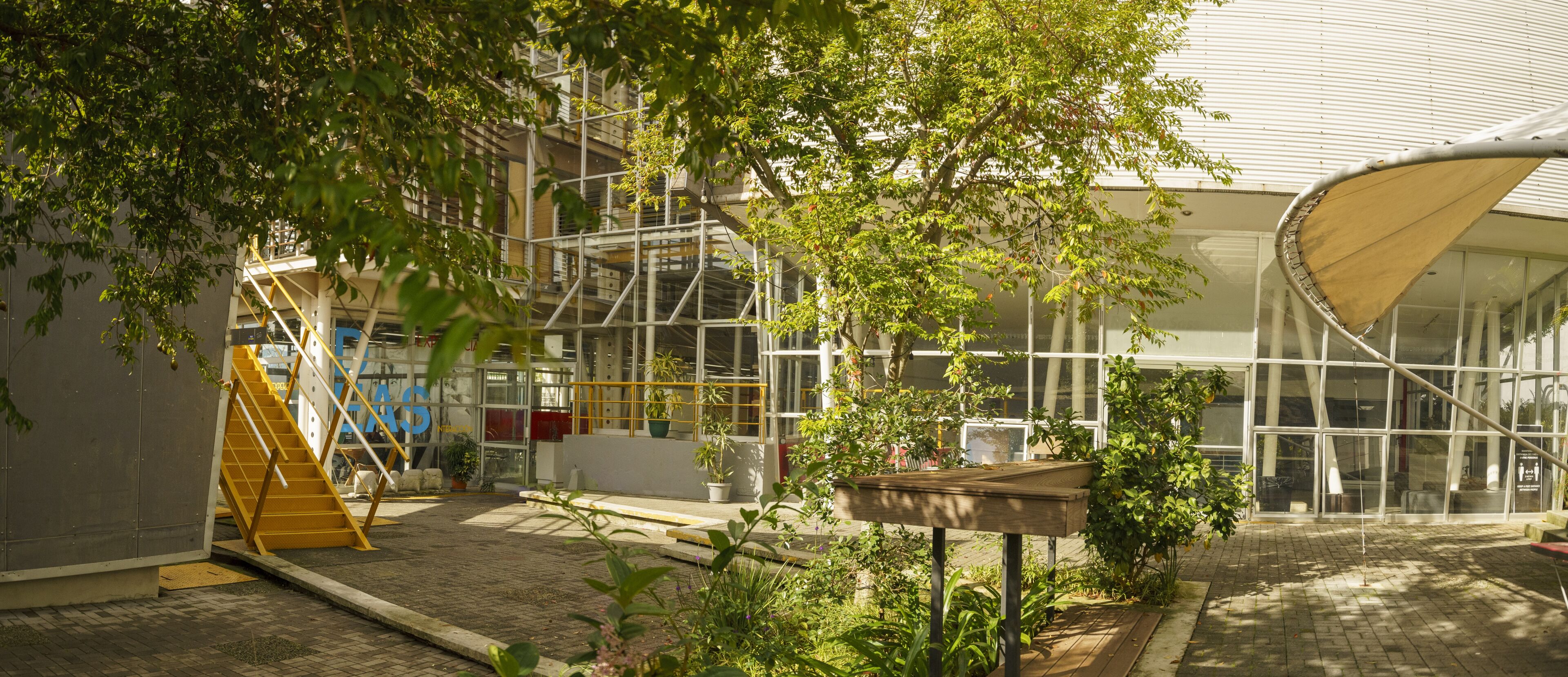 Patio verde del campus