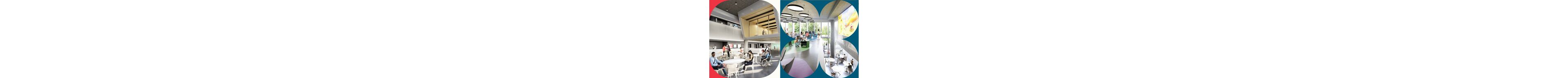 A collage of vibrant college interiors showcasing contemporary architecture and inclusive student environments.