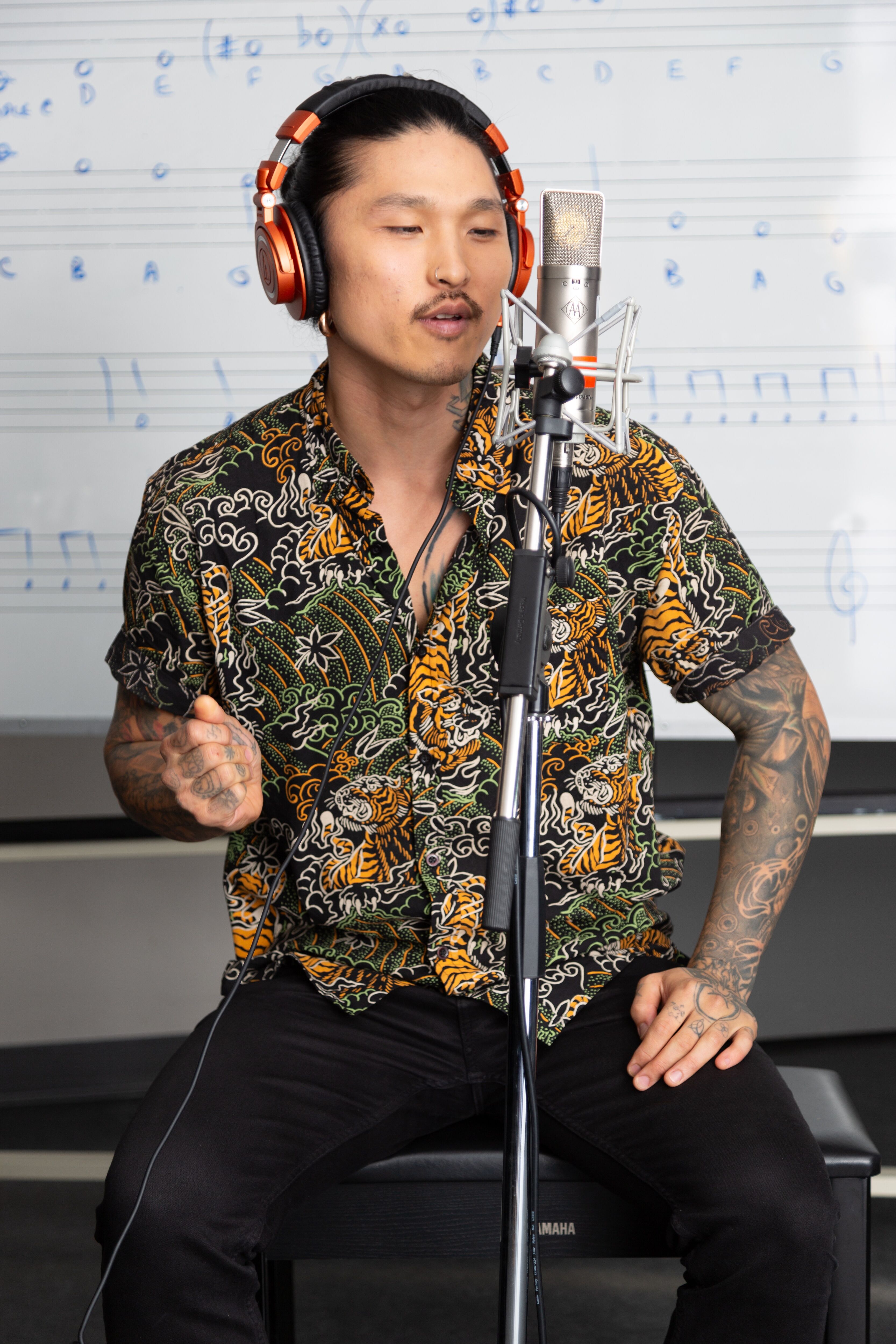 Musician in Recording Studio